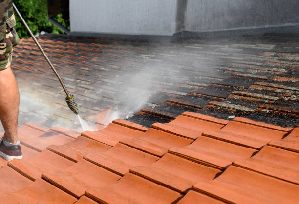 Best Deck Cleaning Services  in Reno, TX