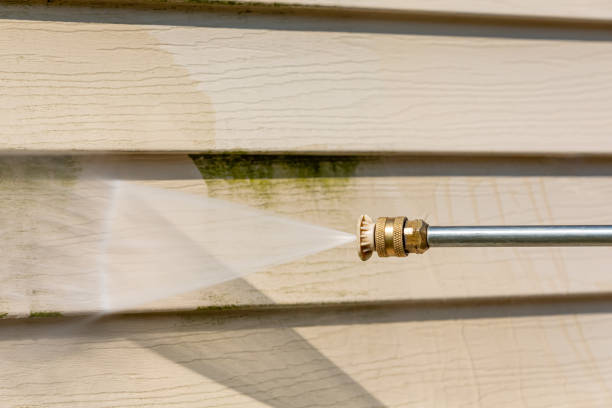 Best Roof Pressure Washing  in Reno, TX
