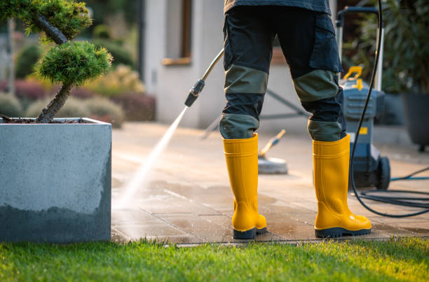 Best Affordable Power Washing  in Reno, TX